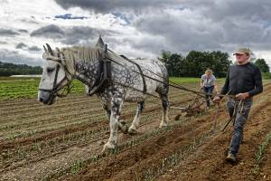Patrice OLIVIER - PATRICE OLIVIER